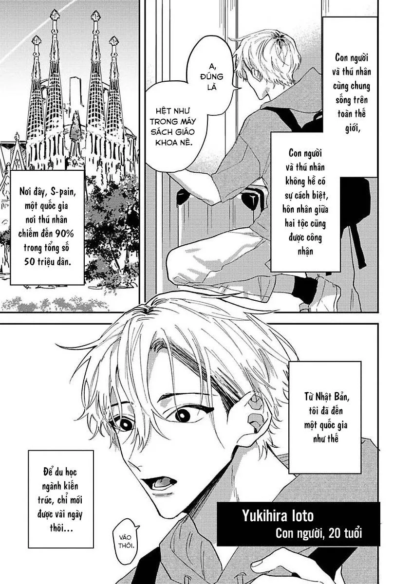 Chú Cá Ngừ Bonito Của Chàng Sói Chapter 1 Trang 6