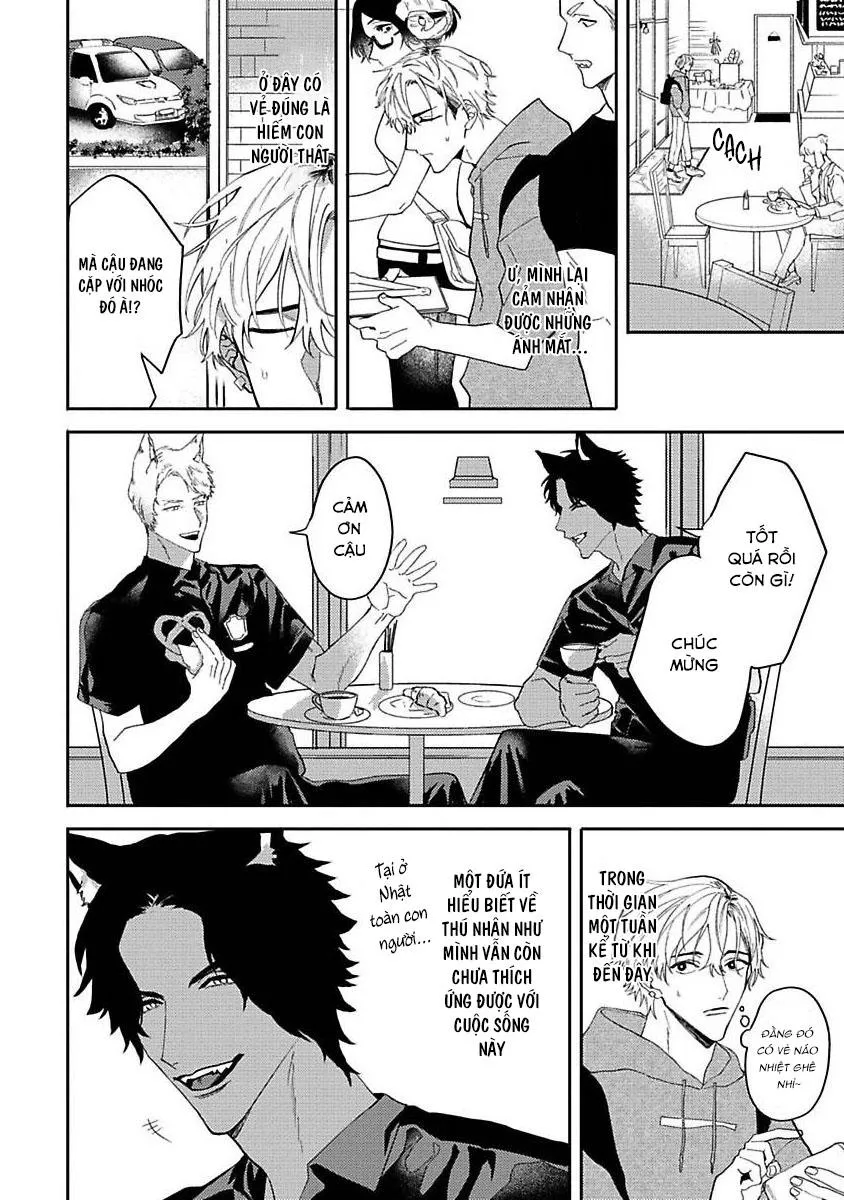 Chú Cá Ngừ Bonito Của Chàng Sói Chapter 1 Trang 7