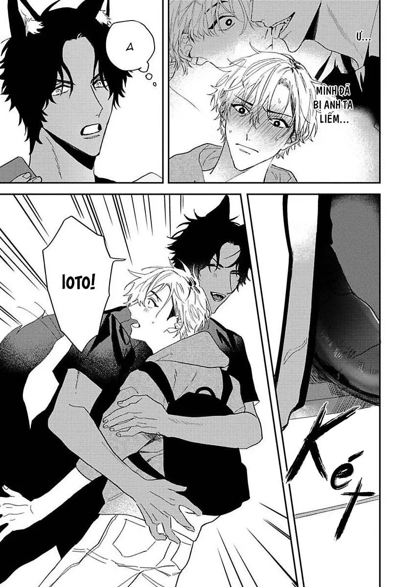 Chú Cá Ngừ Bonito Của Chàng Sói Chapter 1 Trang 14