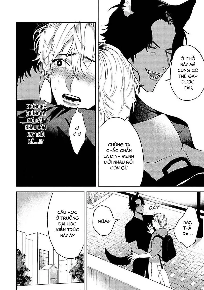 Chú Cá Ngừ Bonito Của Chàng Sói Chapter 1 Trang 15