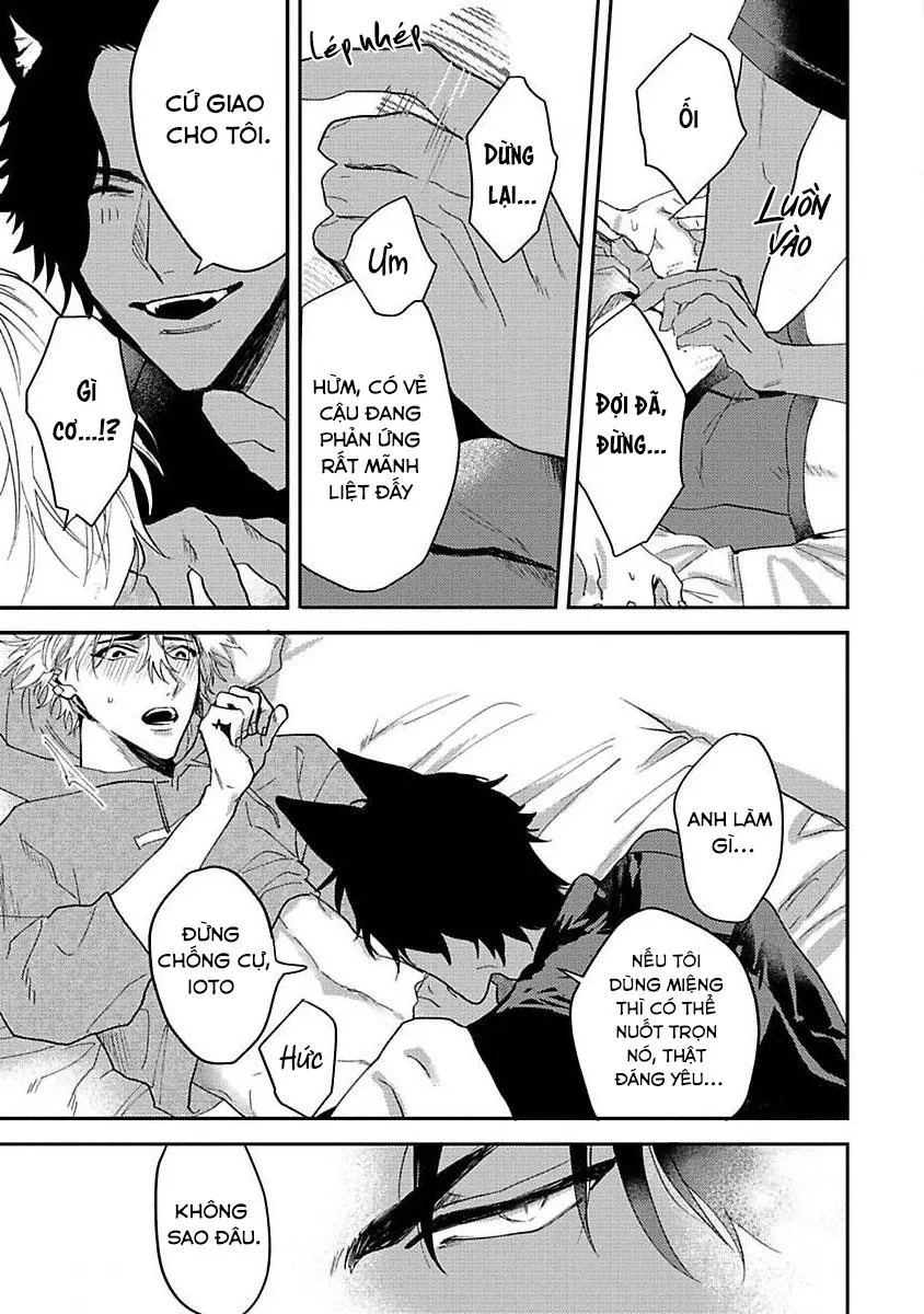 Chú Cá Ngừ Bonito Của Chàng Sói Chapter 1 Trang 26