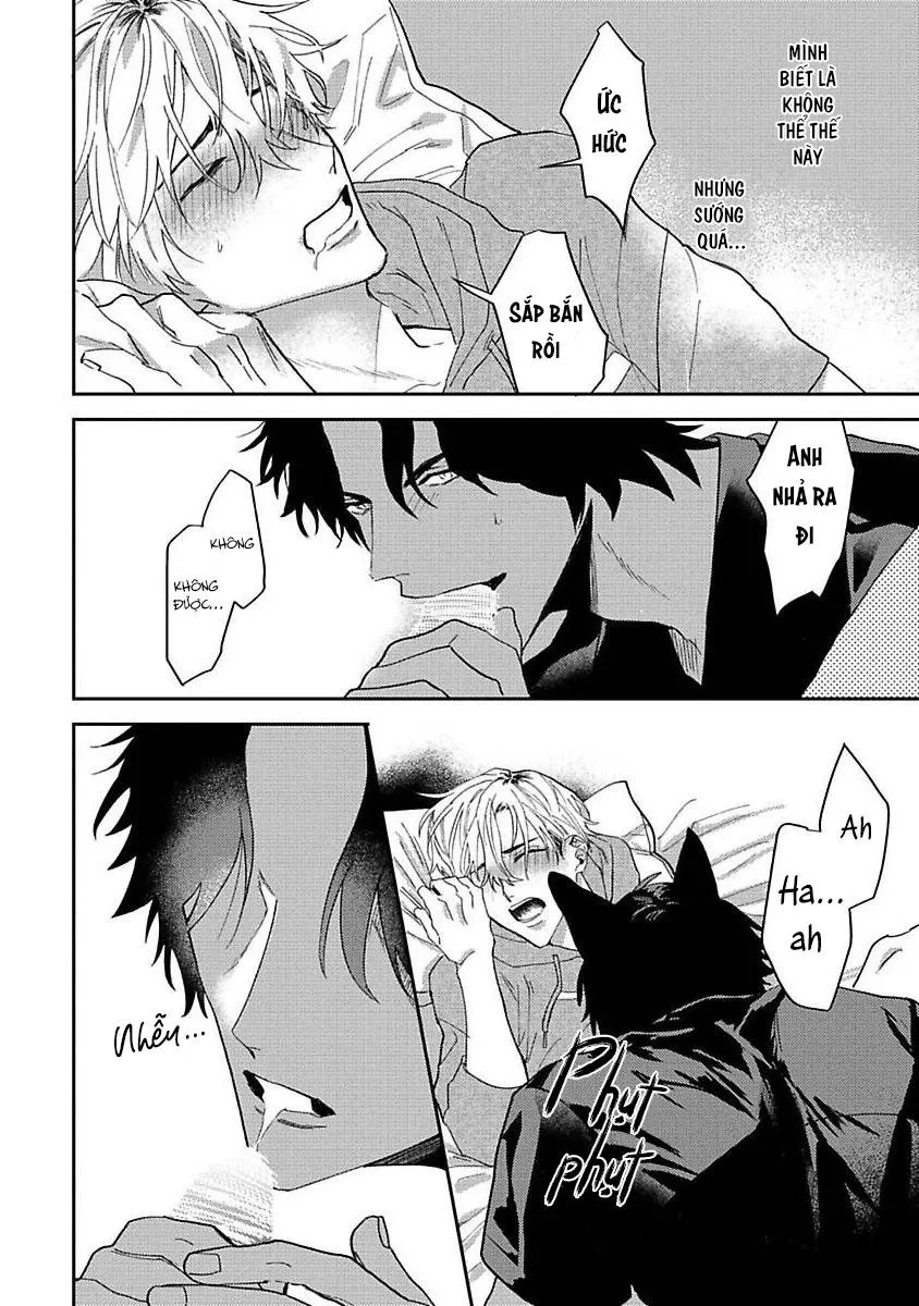 Chú Cá Ngừ Bonito Của Chàng Sói Chapter 1 Trang 29