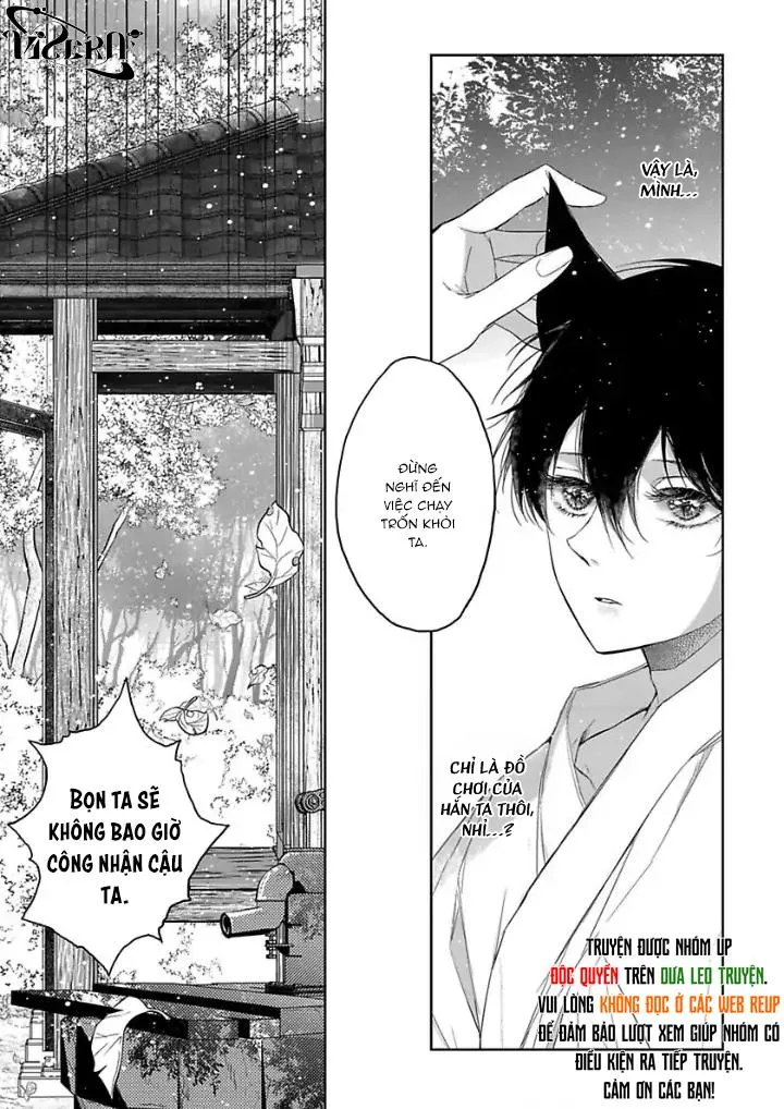 Chú Cáo Của Tôi Chapter 2 Trang 7