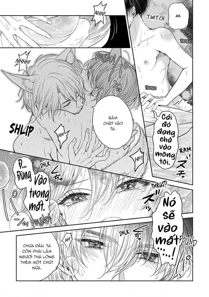 Chú Cáo Của Tôi Chapter 2 Trang 27