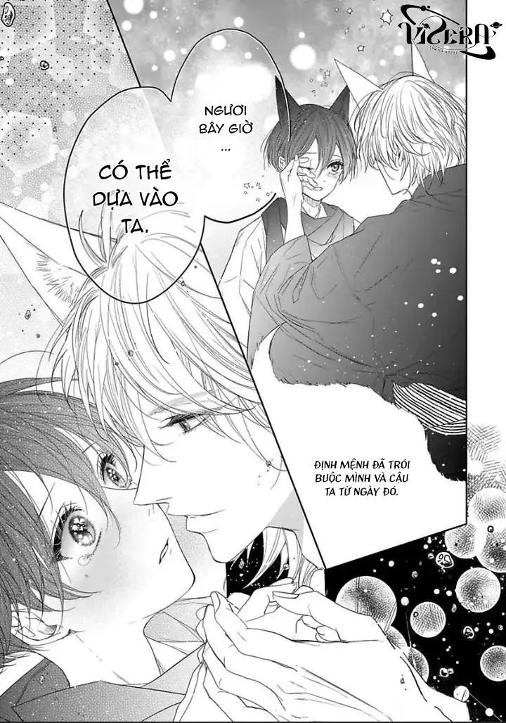 Chú Cáo Của Tôi Chapter 3 Trang 28