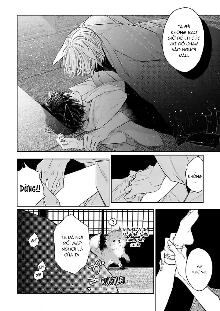 Chú Cáo Của Tôi Chapter 1 Trang 27