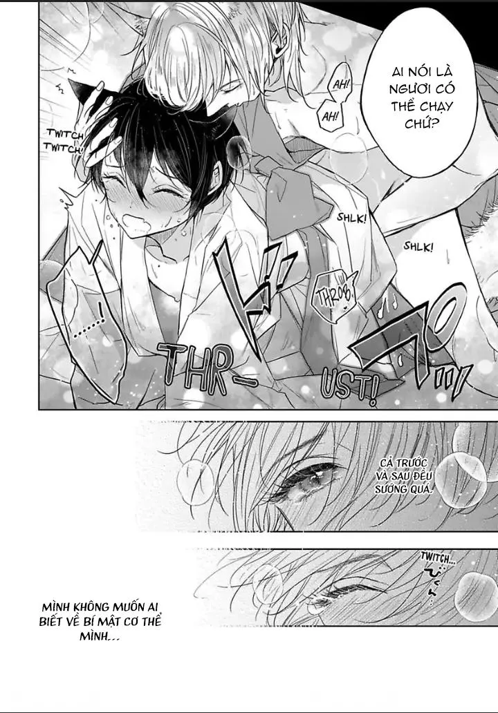 Chú Cáo Của Tôi Chapter 1 Trang 31