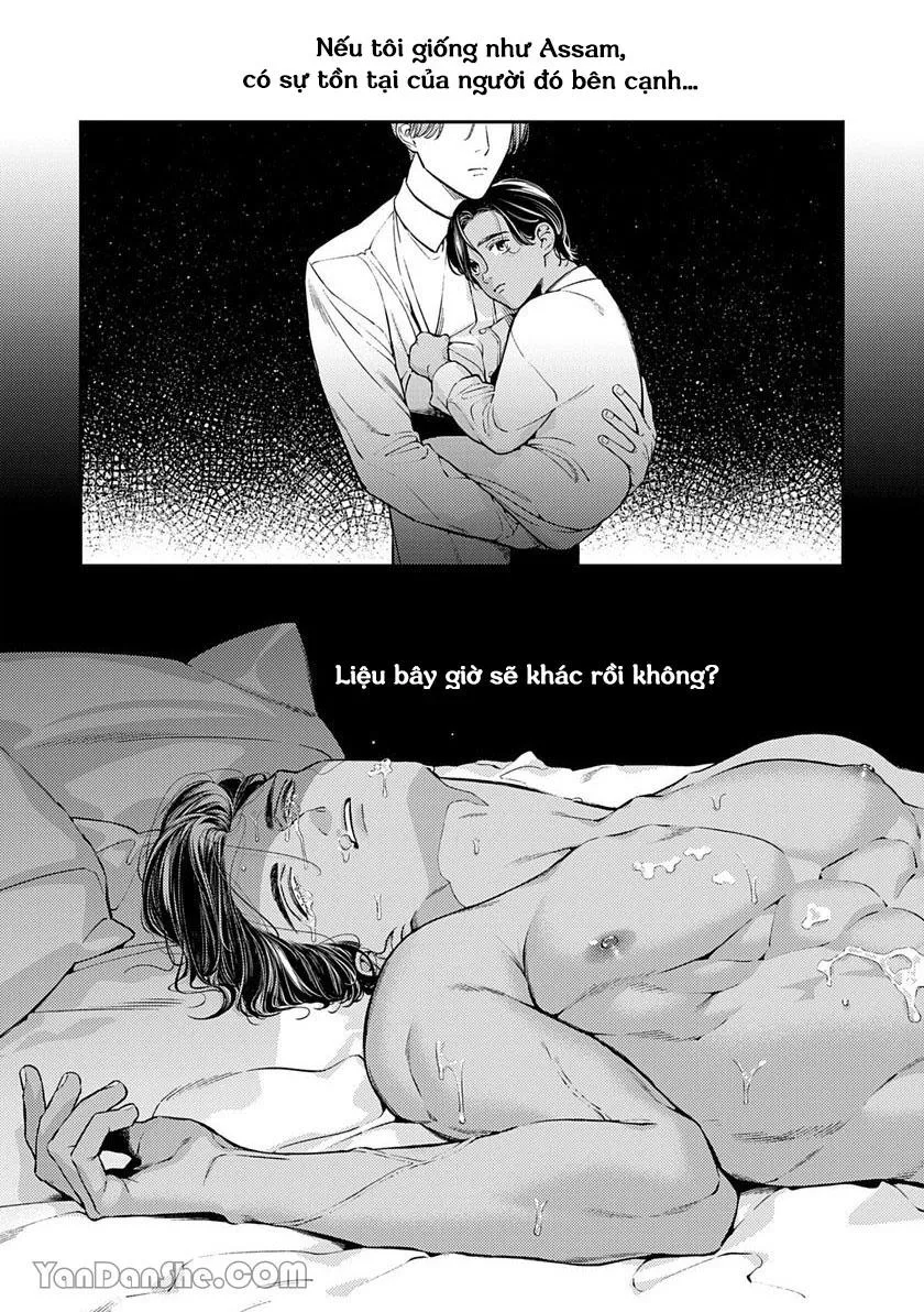 Chú Chim Bình Minh Thuần Phục Dưới Ánh Trăng Yêu Diễm Chapter 2 Trang 13