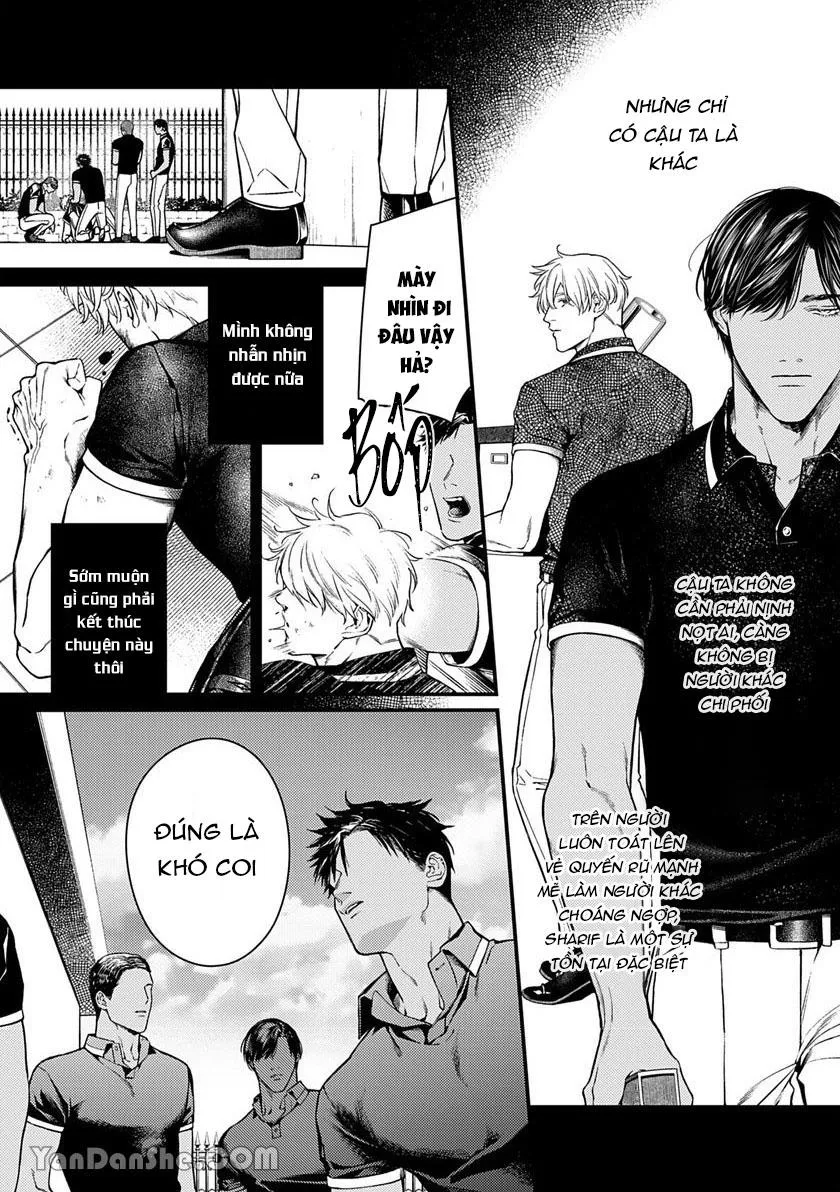 Chú Chim Bình Minh Thuần Phục Dưới Ánh Trăng Yêu Diễm Chapter 3 Trang 7