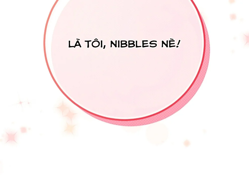 Chú Chuột Của Tôi Là Người Thức Tỉnh Cấp S Chapter 1 Trang 12