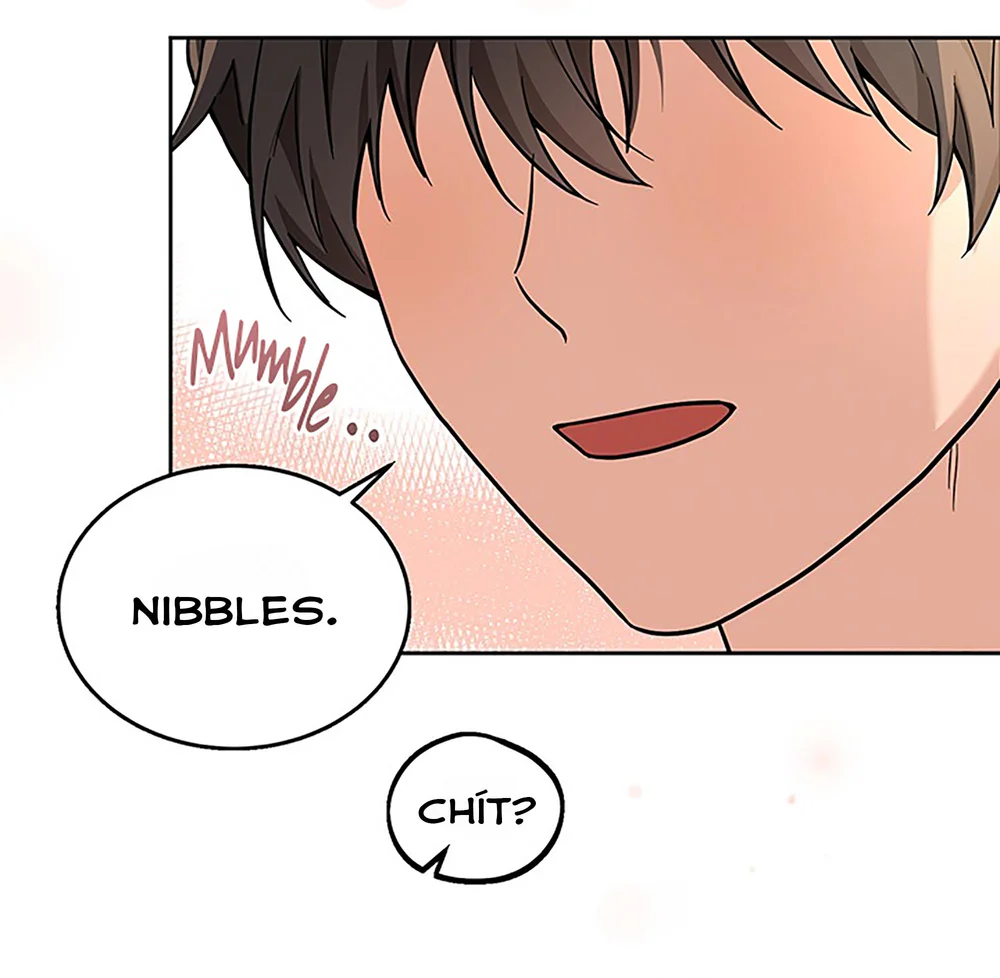 Chú Chuột Của Tôi Là Người Thức Tỉnh Cấp S Chapter 2 Trang 21