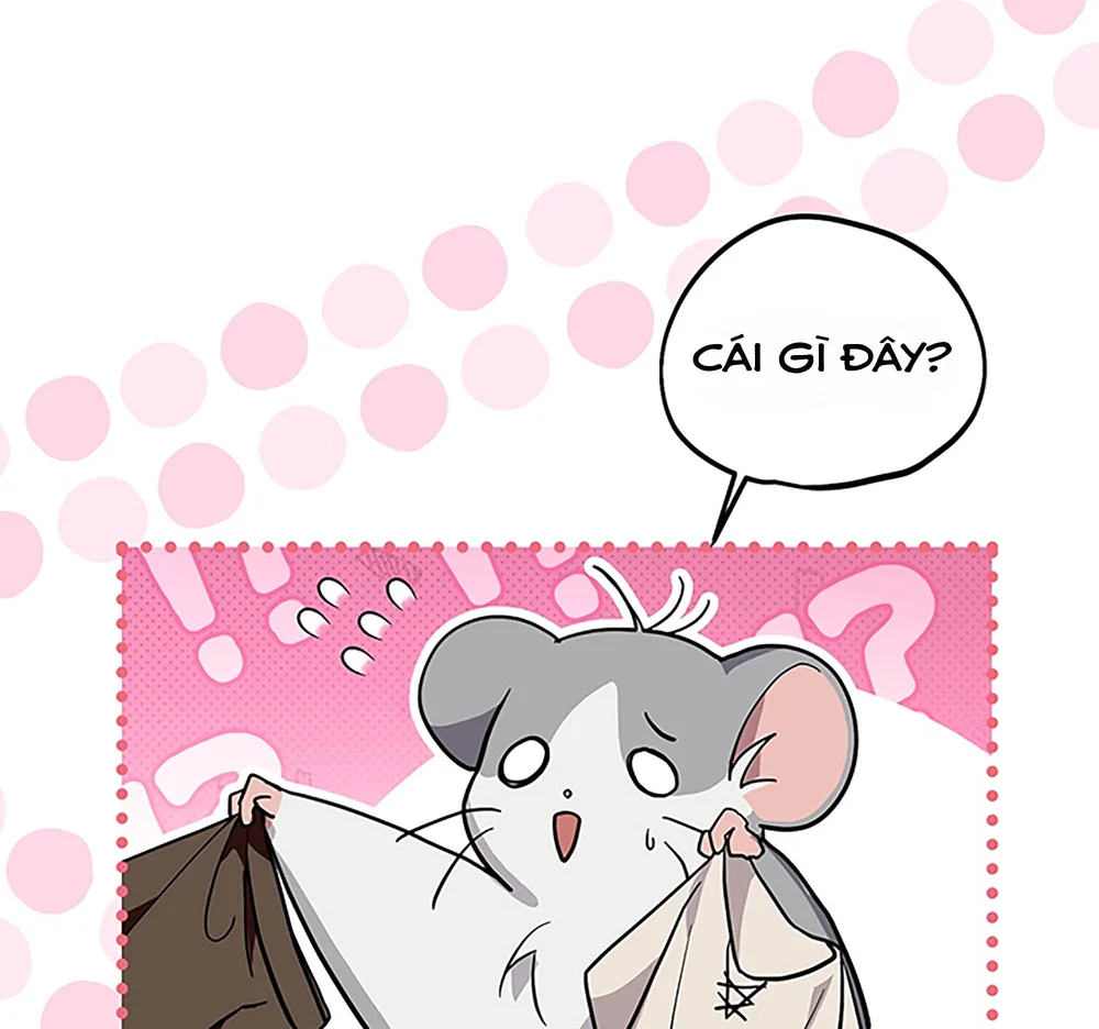 Chú Chuột Của Tôi Là Người Thức Tỉnh Cấp S Chapter 2 Trang 37