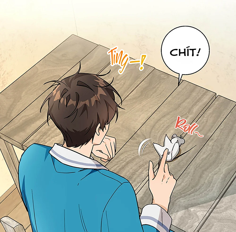 Chú Chuột Của Tôi Là Người Thức Tỉnh Cấp S Chapter 2 Trang 43
