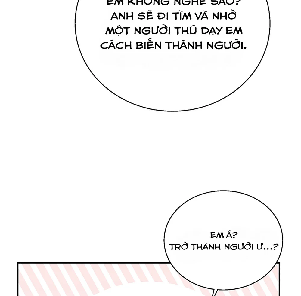 Chú Chuột Của Tôi Là Người Thức Tỉnh Cấp S Chapter 2 Trang 45