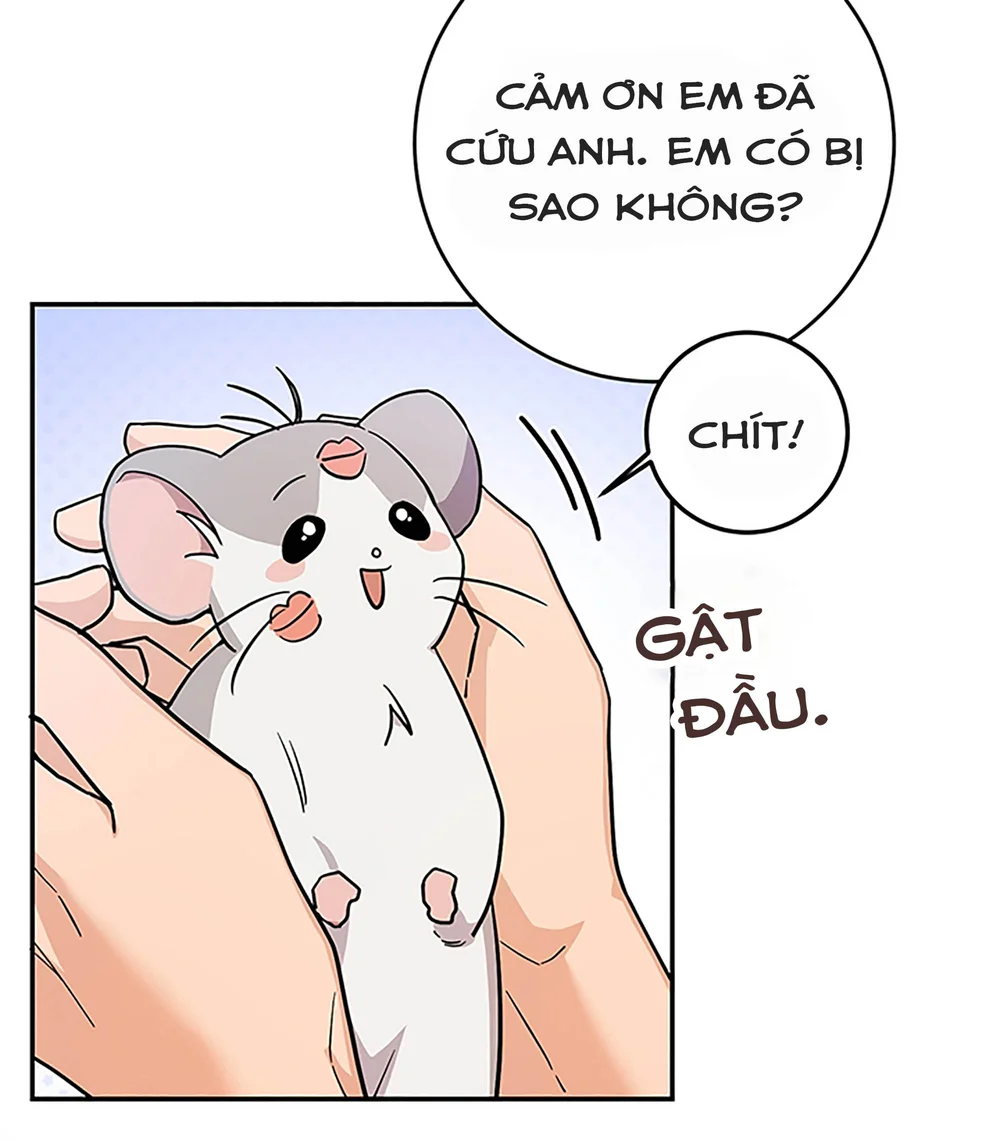 Chú Chuột Của Tôi Là Người Thức Tỉnh Cấp S Chapter 3 Trang 7