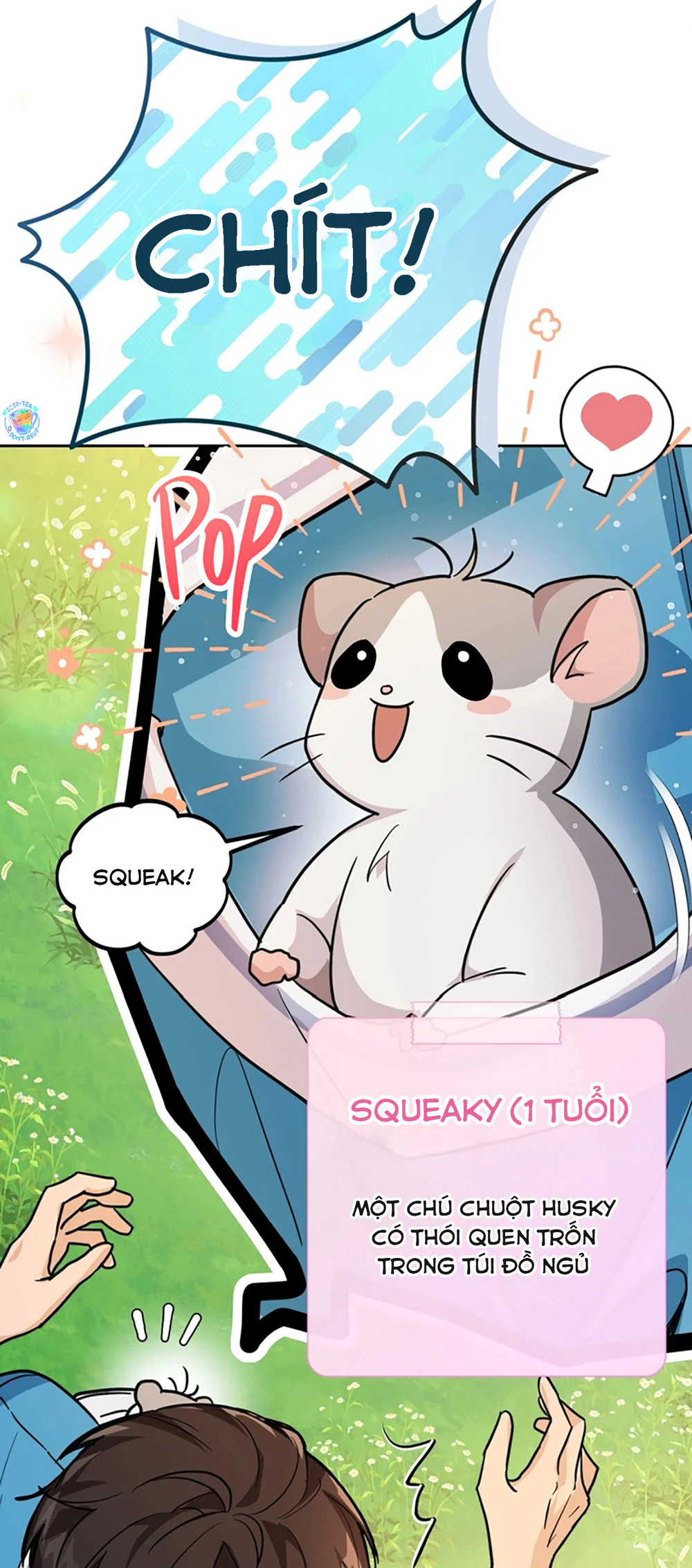 Chú Chuột Của Tôi Là Người Thức Tỉnh Cấp S Chapter 0 Trang 4