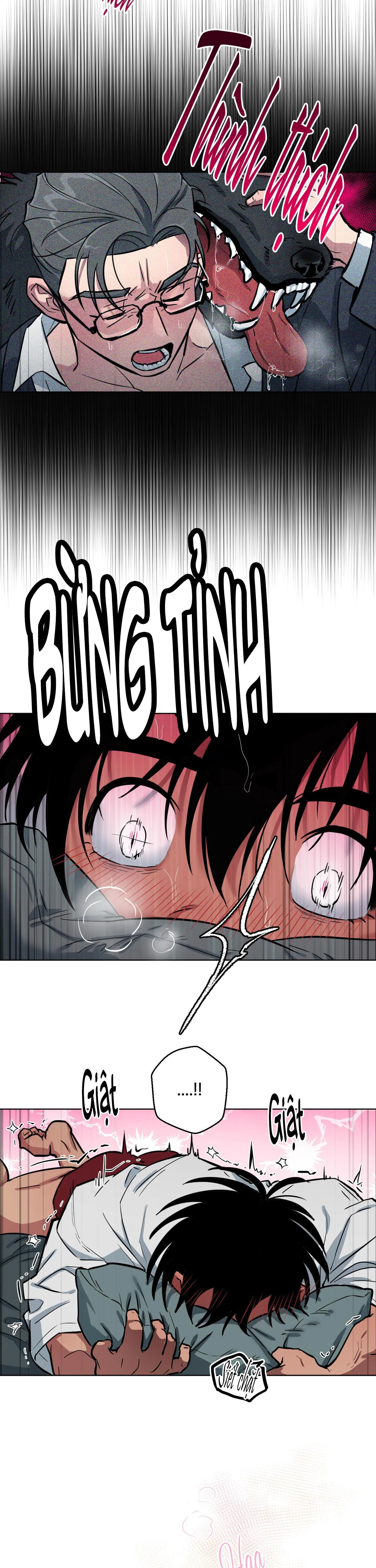 CHÚ ĐÃ BIẾT HẾT RỒI SAO ? Chapter 2 Trang 14