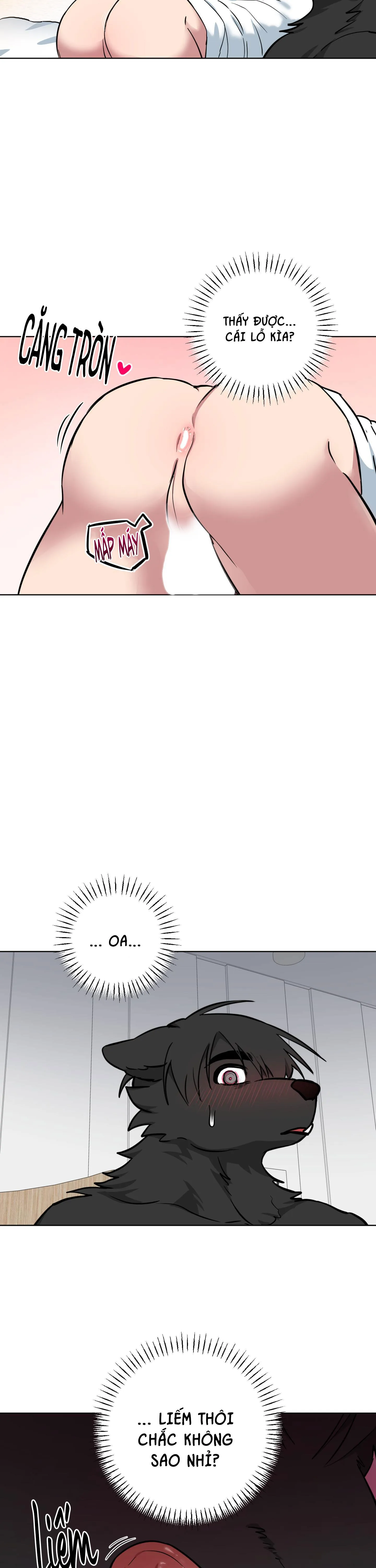 CHÚ ĐÃ BIẾT HẾT RỒI SAO ? Chapter 10 Trang 15
