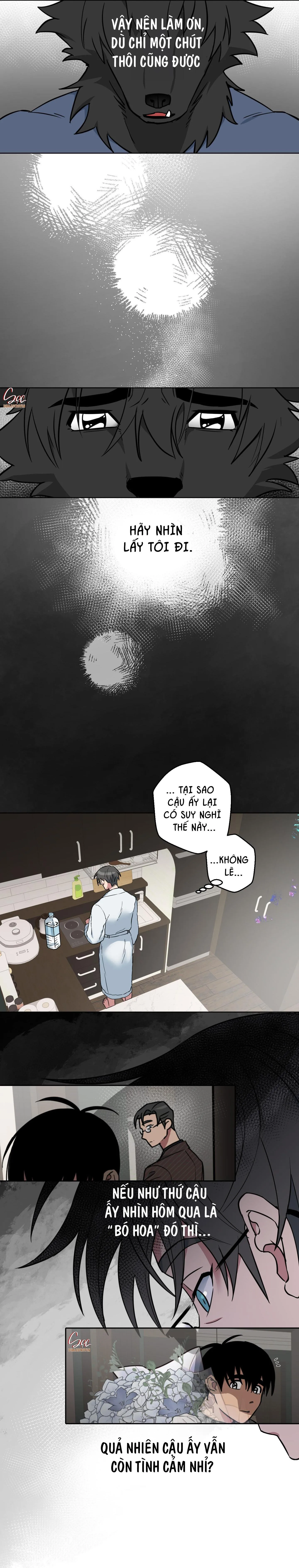 CHÚ ĐÃ BIẾT HẾT RỒI SAO ? Chapter 15 Trang 3