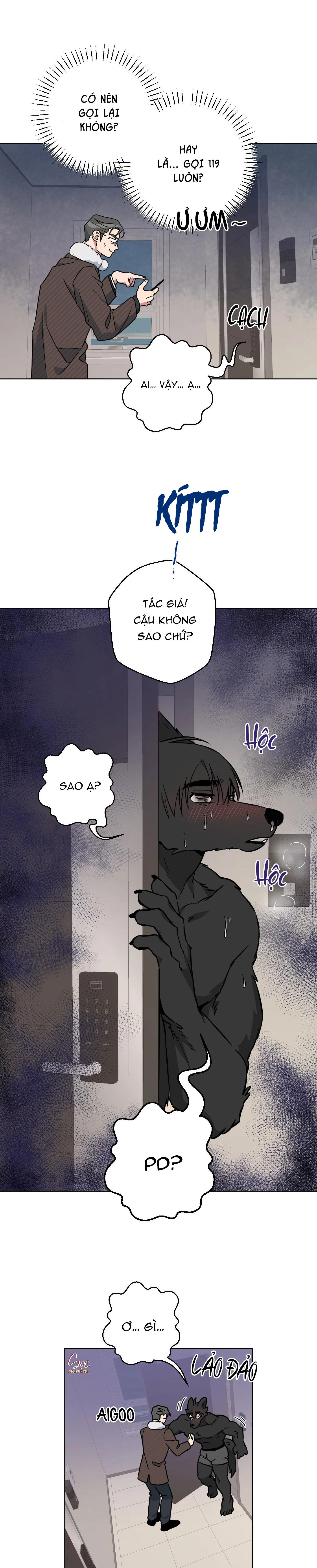 CHÚ ĐÃ BIẾT HẾT RỒI SAO ? Chapter 16 Trang 12