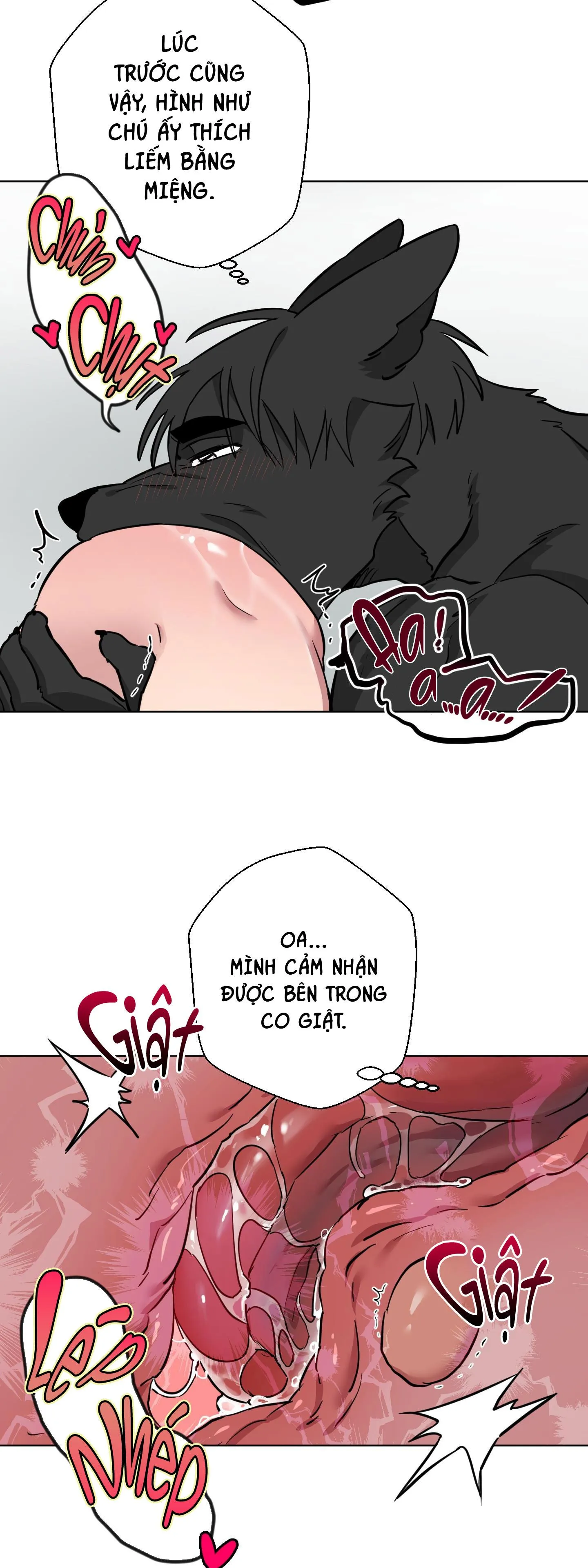 CHÚ ĐÃ BIẾT HẾT RỒI SAO ? Chapter 26 Trang 17