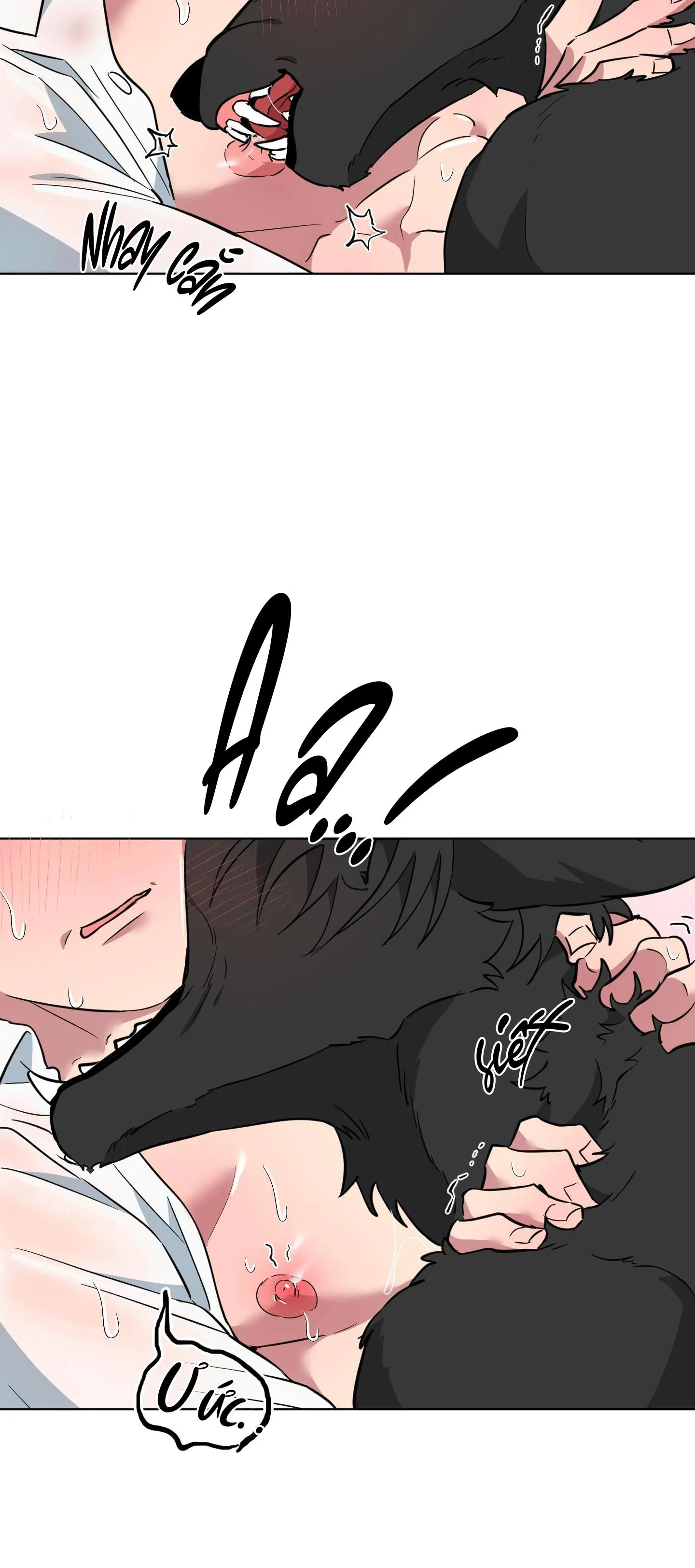 CHÚ ĐÃ BIẾT HẾT RỒI SAO ? Chapter 27 Trang 20