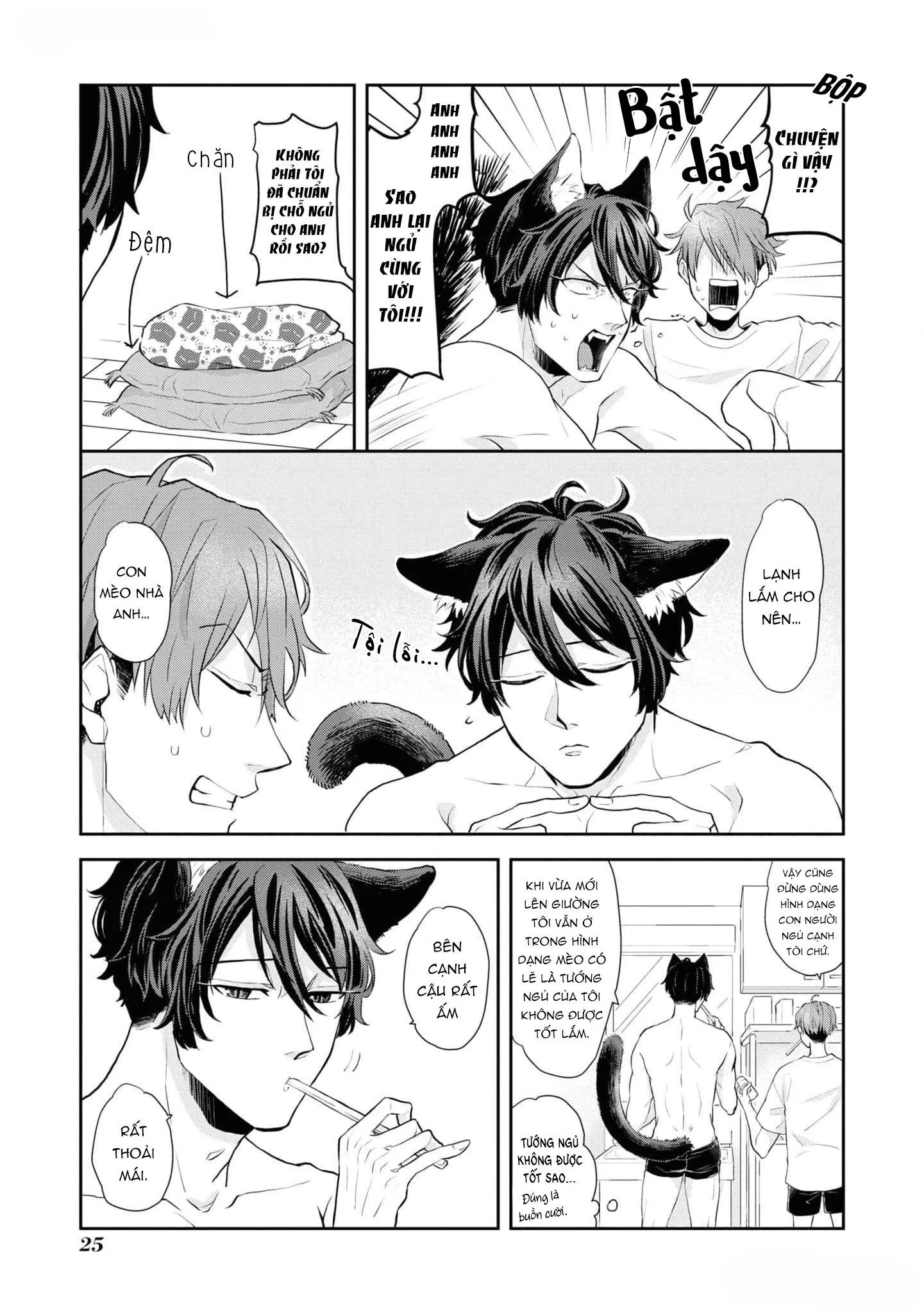 Chú mèo đẹp trai muốn được Haruta nuôi dưỡng Chapter 2 Trang 3