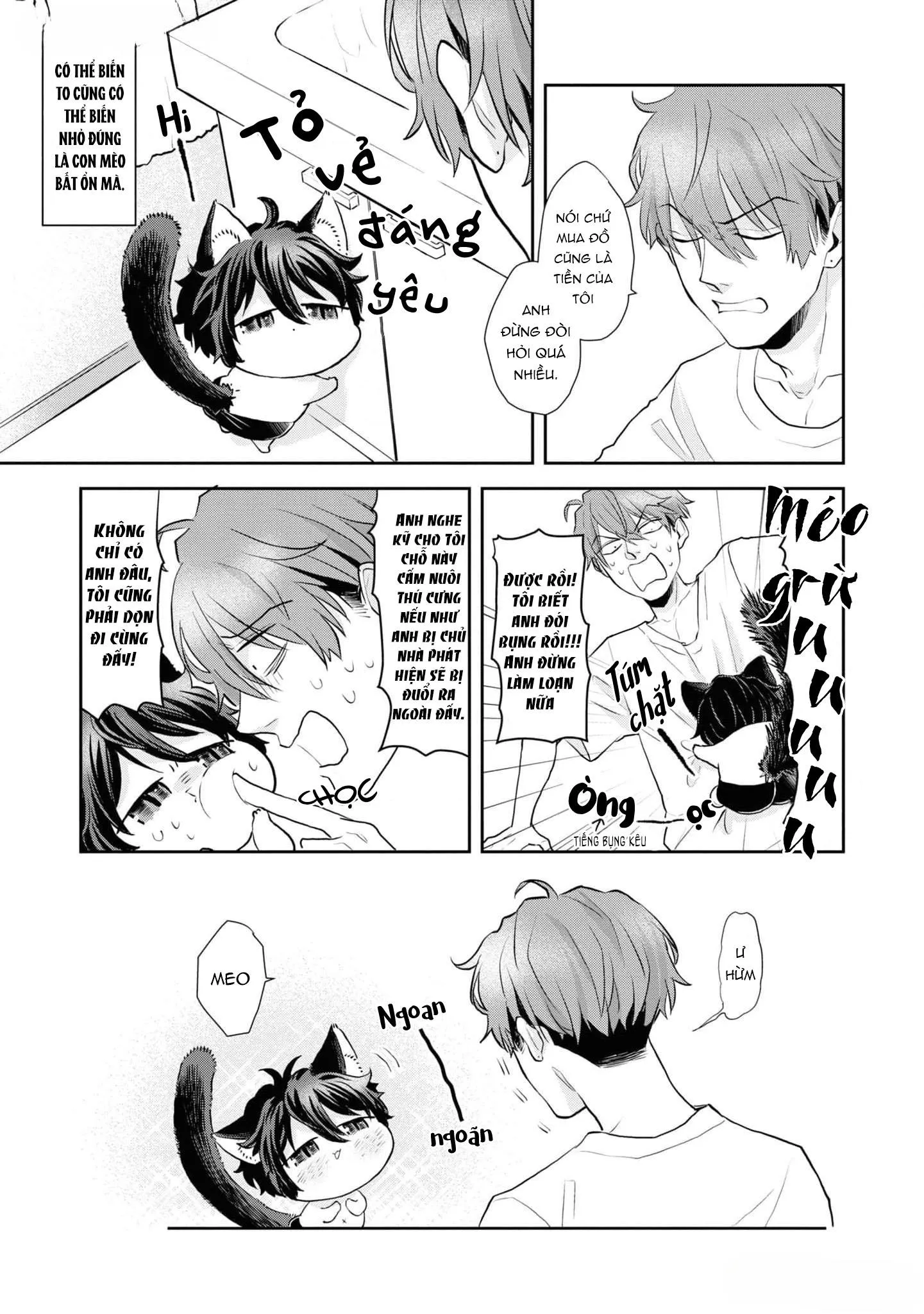 Chú mèo đẹp trai muốn được Haruta nuôi dưỡng Chapter 2 Trang 5