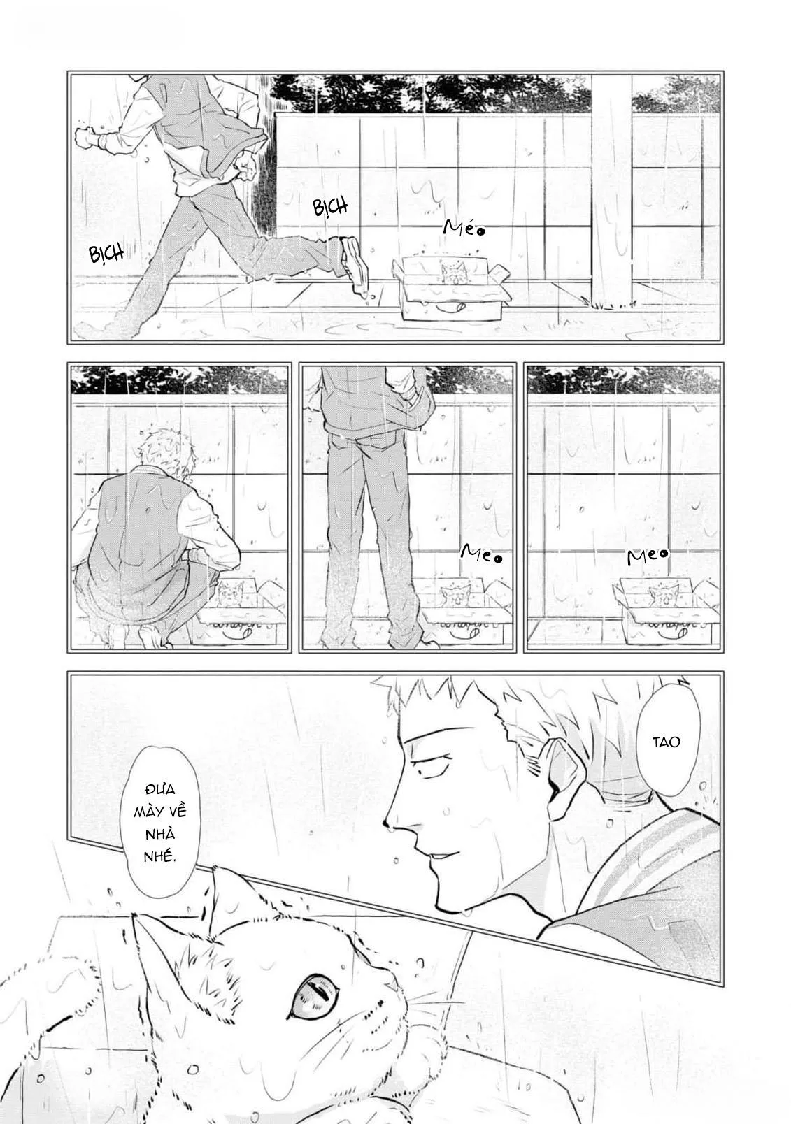 Chú mèo đẹp trai muốn được Haruta nuôi dưỡng Chapter 5 Trang 16