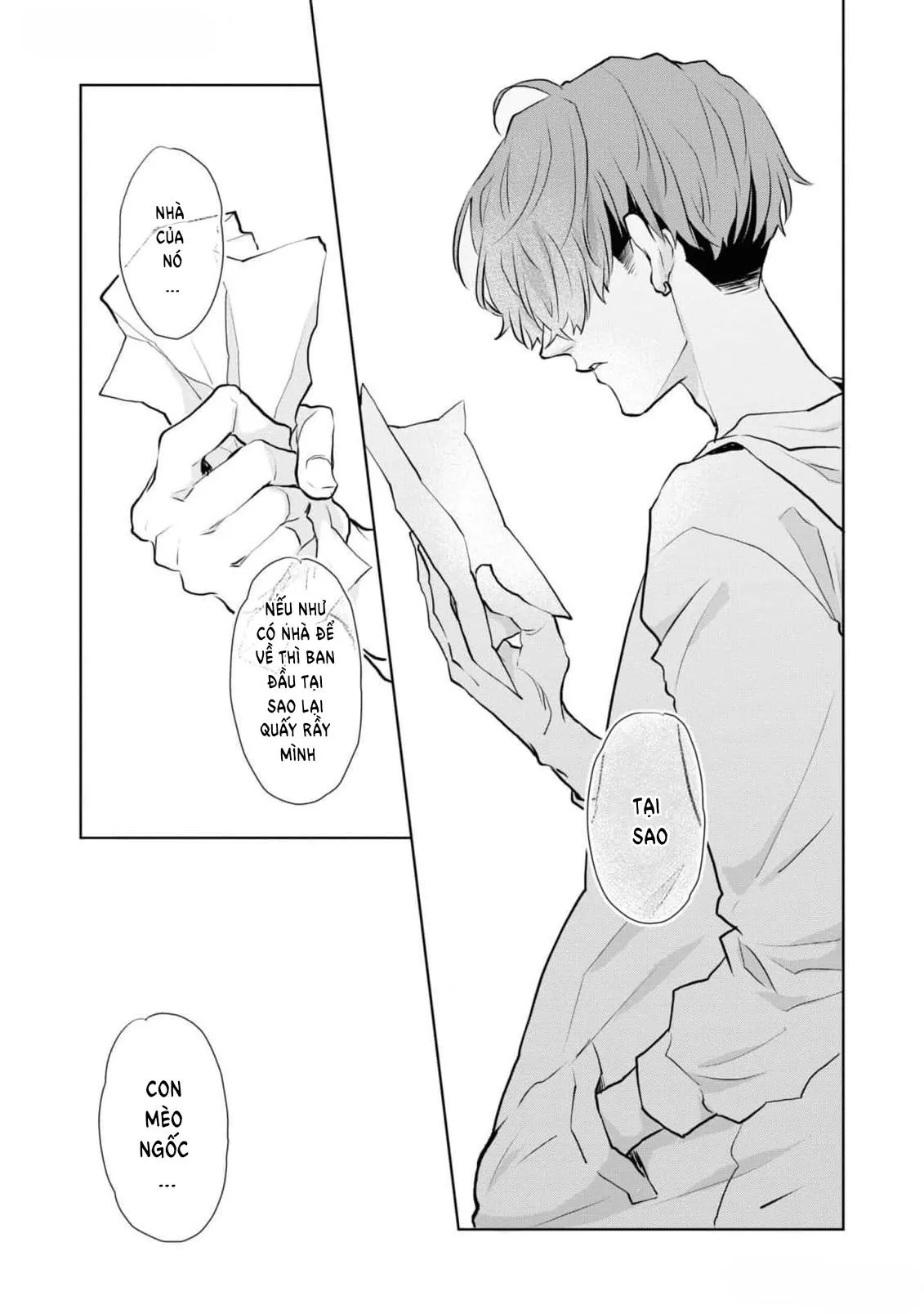 Chú mèo đẹp trai muốn được Haruta nuôi dưỡng Chapter 7 Trang 17