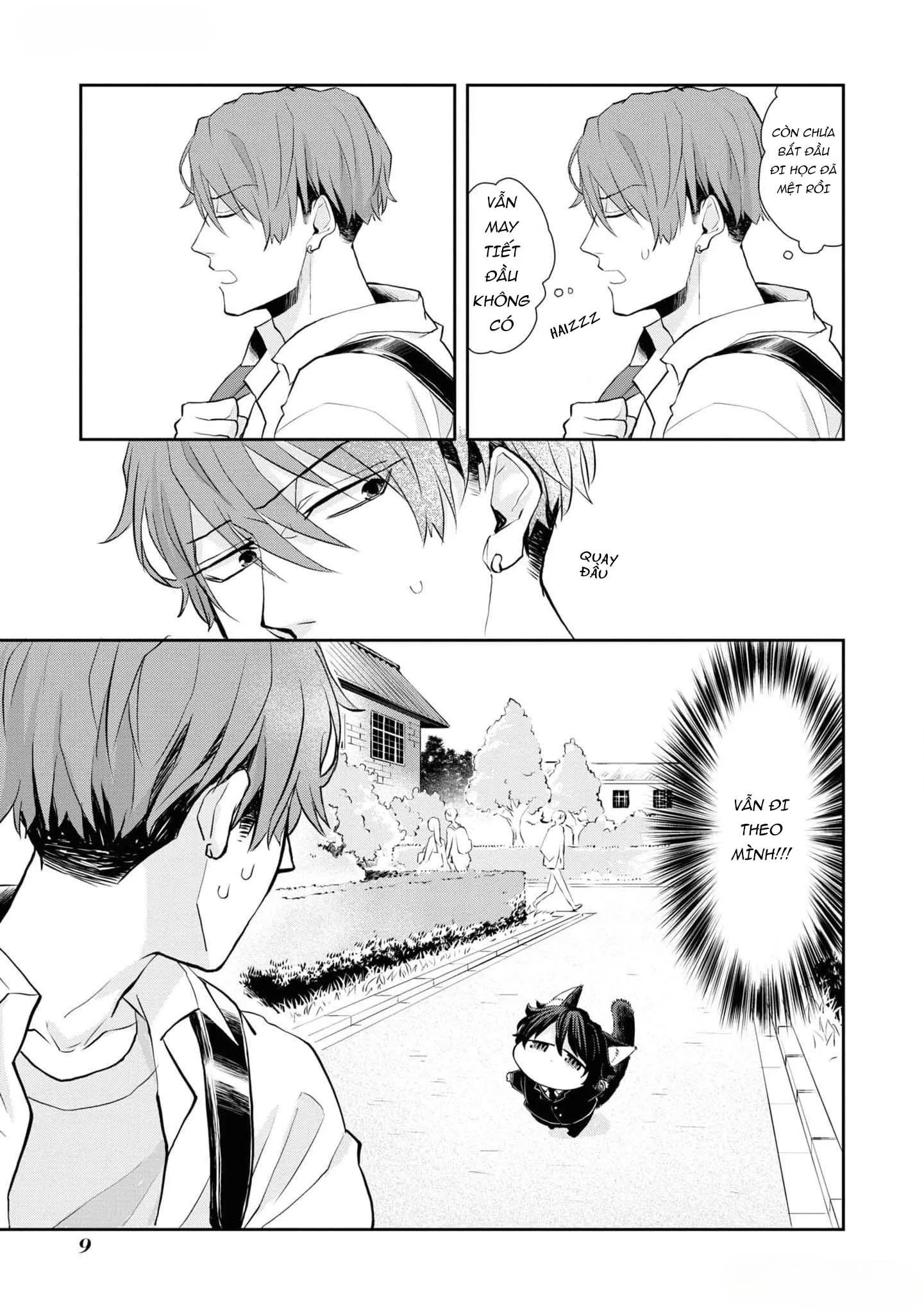 Chú mèo đẹp trai muốn được Haruta nuôi dưỡng Chapter 1 Trang 8