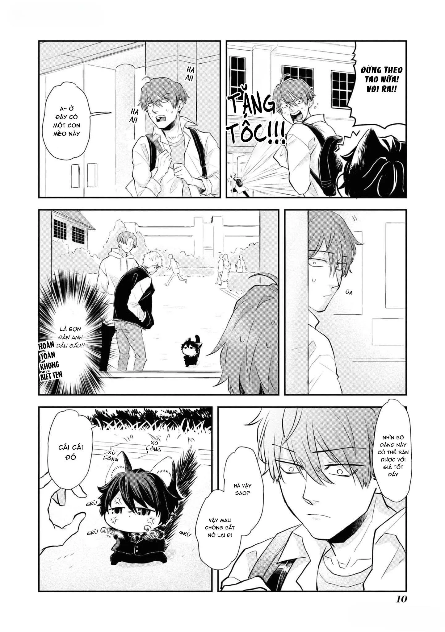 Chú mèo đẹp trai muốn được Haruta nuôi dưỡng Chapter 1 Trang 9