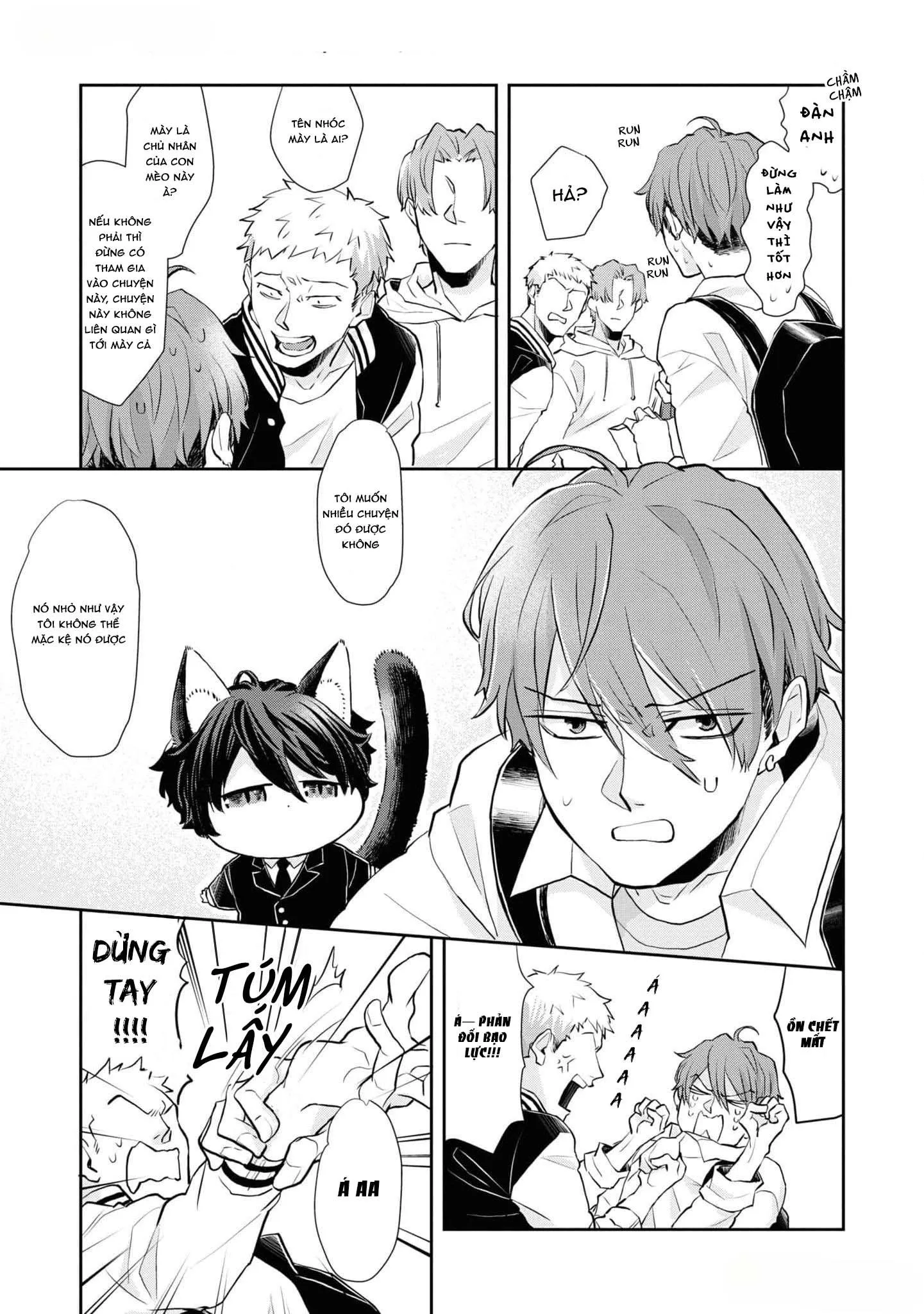 Chú mèo đẹp trai muốn được Haruta nuôi dưỡng Chapter 1 Trang 10