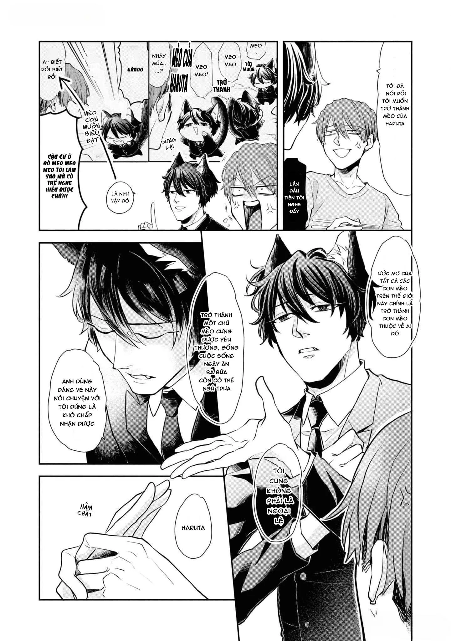 Chú mèo đẹp trai muốn được Haruta nuôi dưỡng Chapter 1 Trang 19
