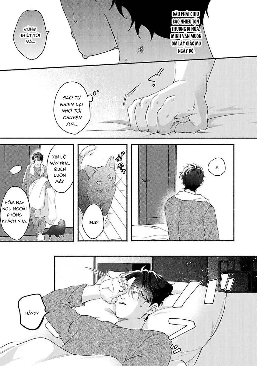 Vết cắn ngọt ngào và giấc mơ ban chiều Chapter 3 Trang 13