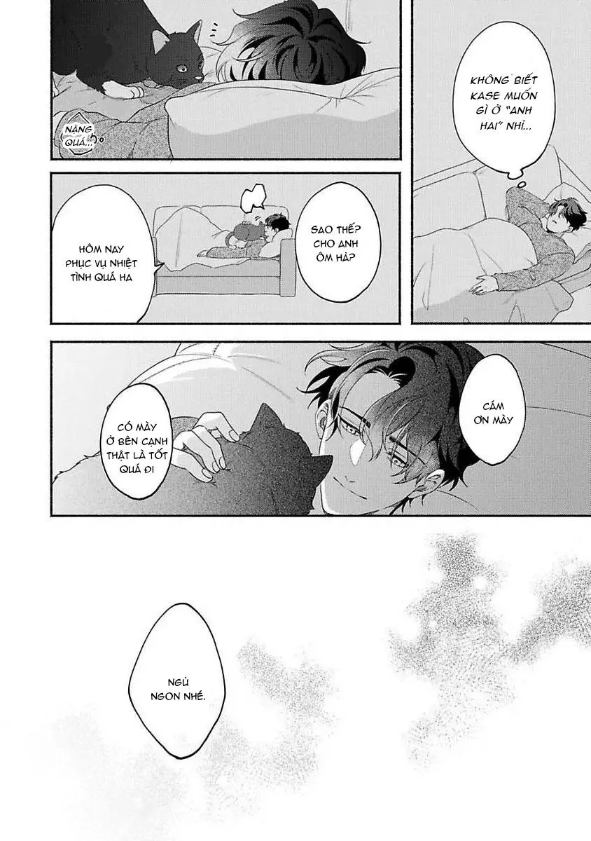Vết cắn ngọt ngào và giấc mơ ban chiều Chapter 3 Trang 14