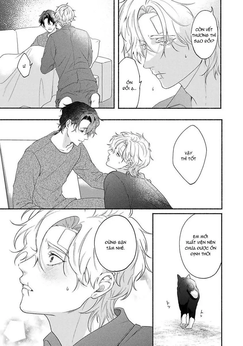 Vết cắn ngọt ngào và giấc mơ ban chiều Chapter 3 Trang 17