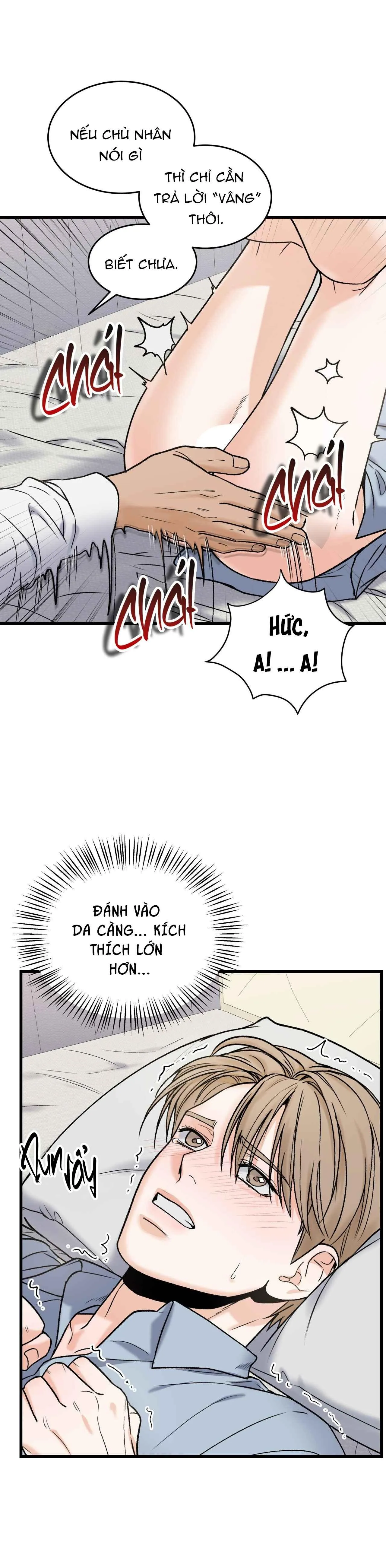 CHỦ NHÂN BẠO DÂM CỦA TÔI Chapter 7 Trang 19