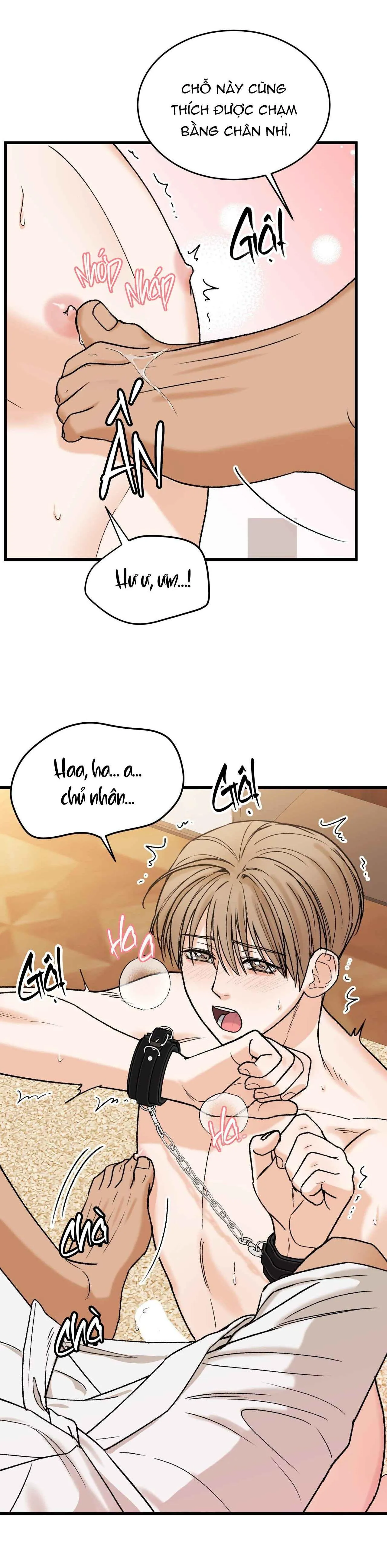 CHỦ NHÂN BẠO DÂM CỦA TÔI Chapter 10 Trang 14