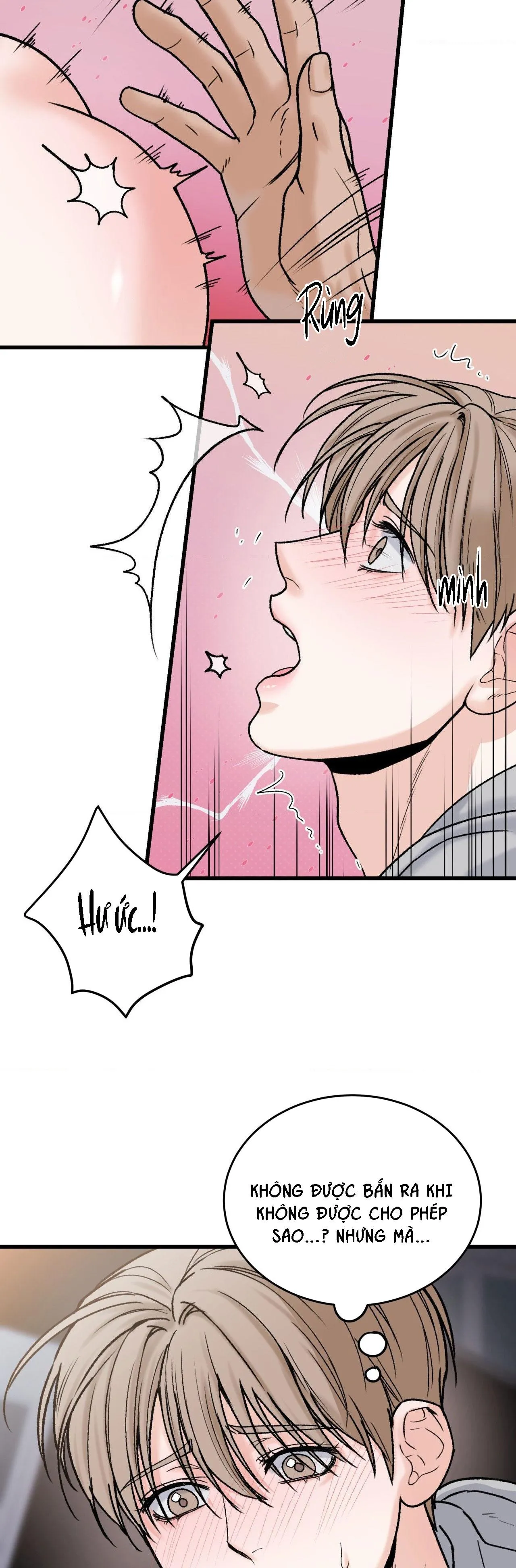 CHỦ NHÂN BẠO DÂM CỦA TÔI Chapter 13 Trang 17