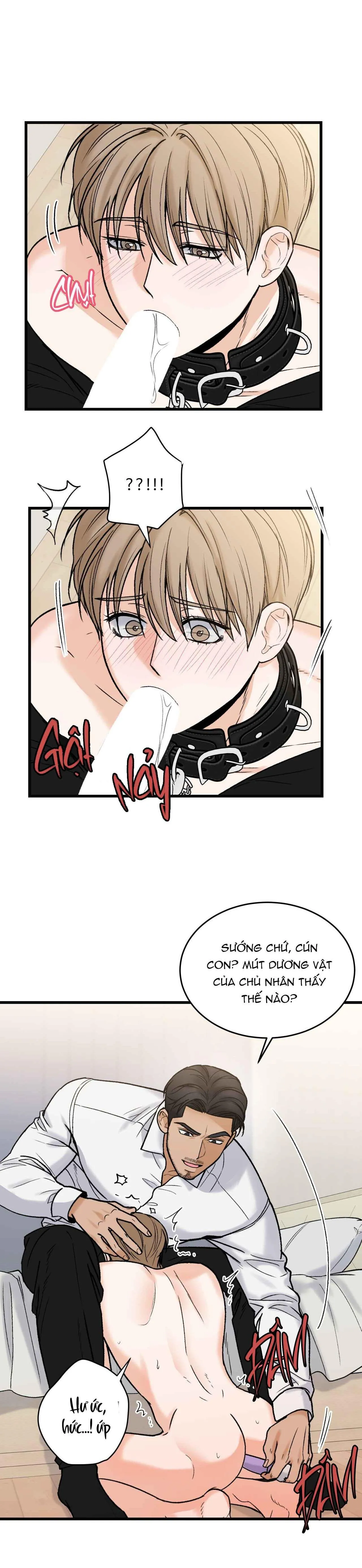 CHỦ NHÂN BẠO DÂM CỦA TÔI Chapter 15 Trang 14