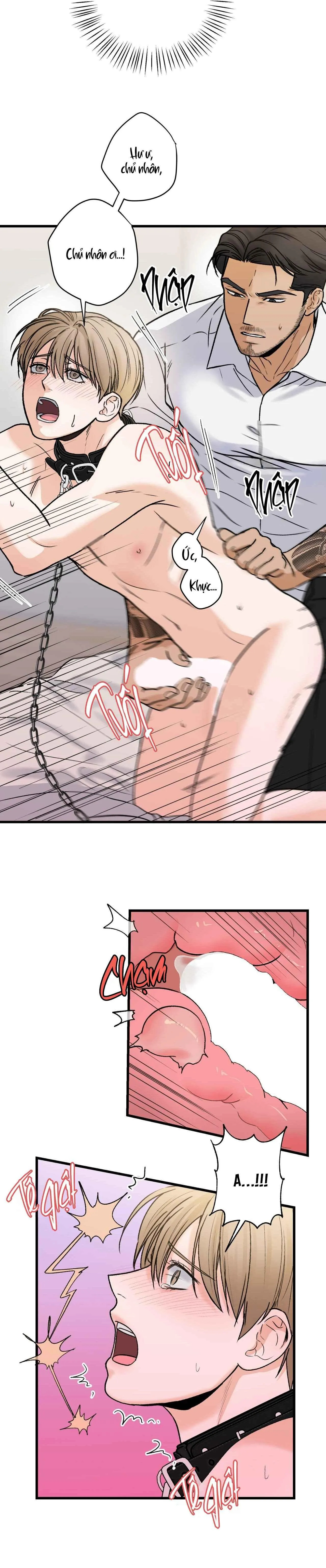 CHỦ NHÂN BẠO DÂM CỦA TÔI Chapter 16 Trang 10