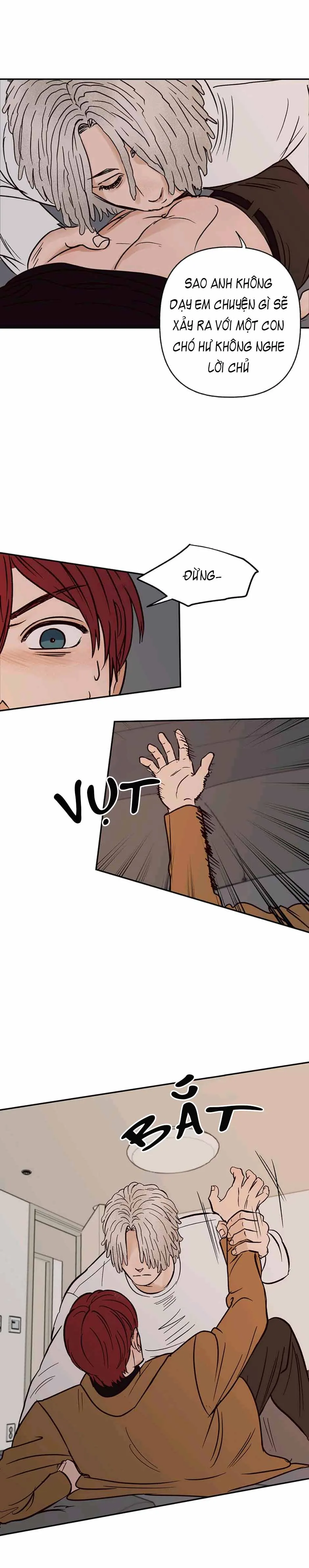 CHỦ NHÂN CỦA CẬU CHỦ Chapter 39 Trang 11