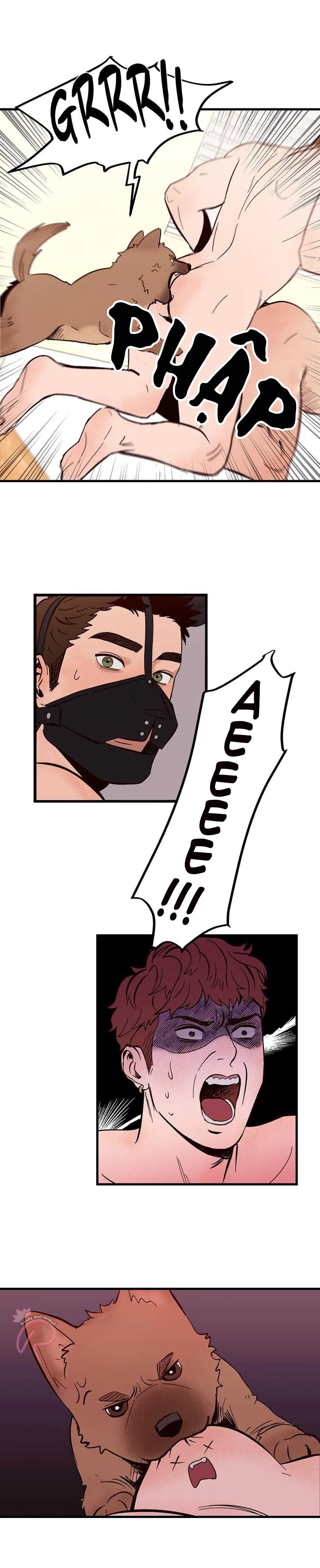 CHỦ NHÂN CỦA CẬU CHỦ Chapter 1 Trang 17