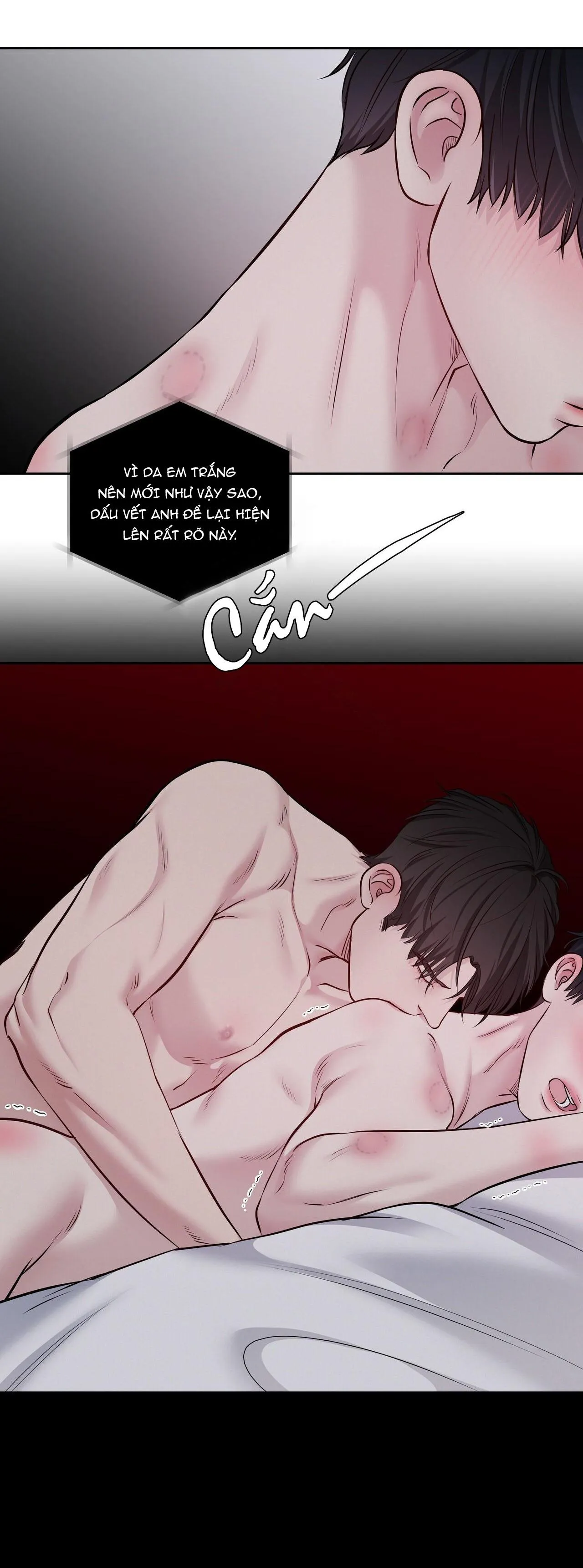 CHỦ NHÂN CỦA THỨ BẢY Chapter 41 Trang 5