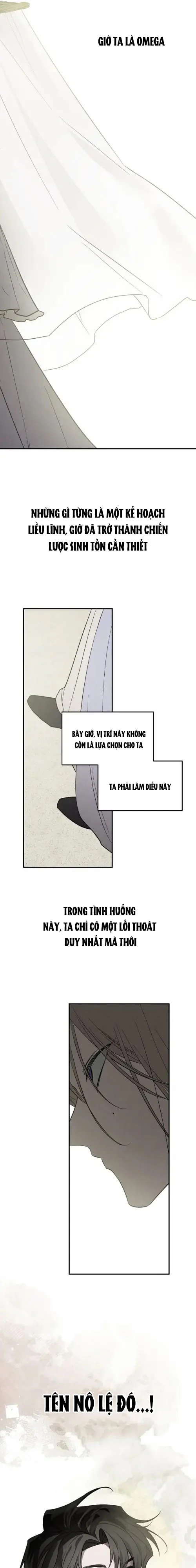 Chủ Nô Ở Dị Giới Chapter 4 Trang 19