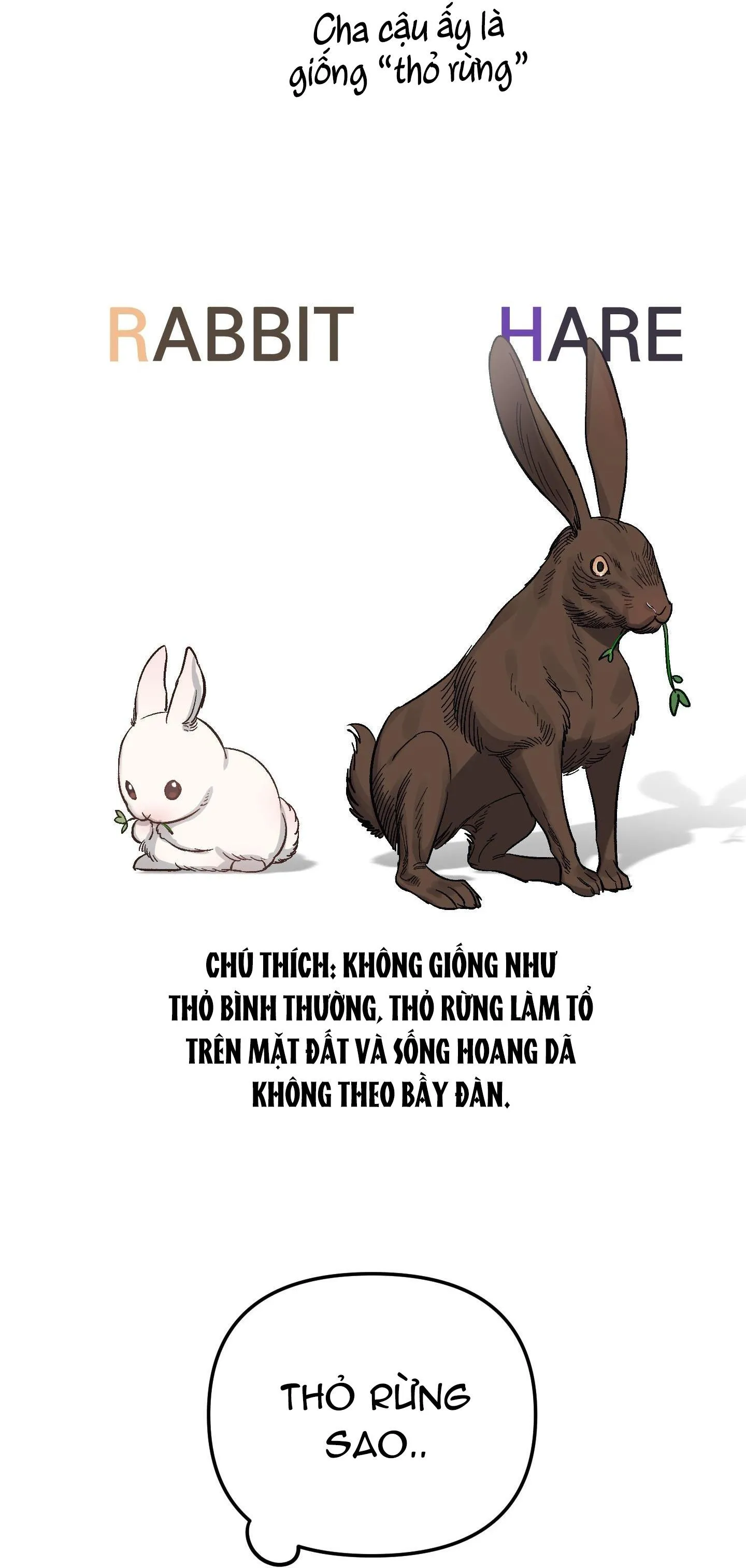 Chú thỏ chỉ cần 3 giây là xuất tinh Chapter 2 Trang 39