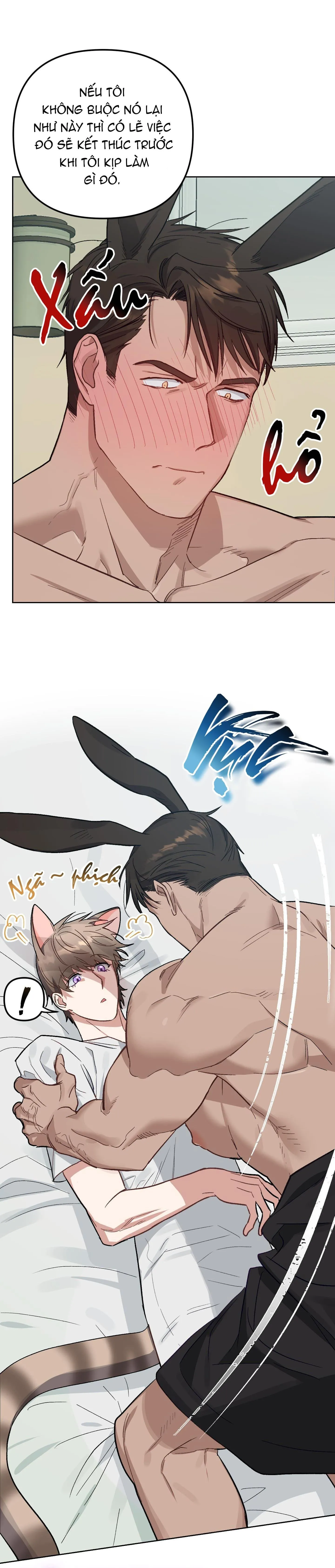 Chú thỏ chỉ cần 3 giây là xuất tinh Chapter 4 Trang 4