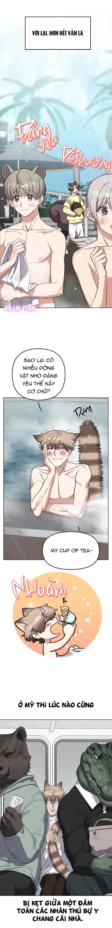 Chú thỏ chỉ cần 3 giây là xuất tinh Chapter 1 Trang 8