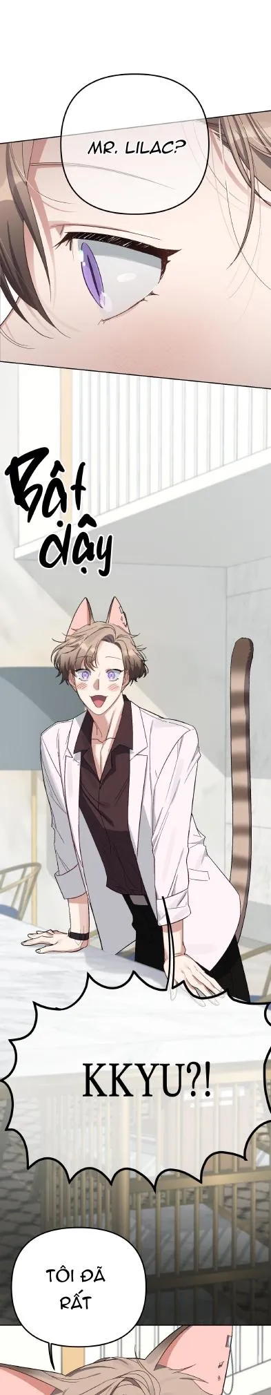 Chú thỏ chỉ cần 3 giây là xuất tinh Chapter 1 Trang 28